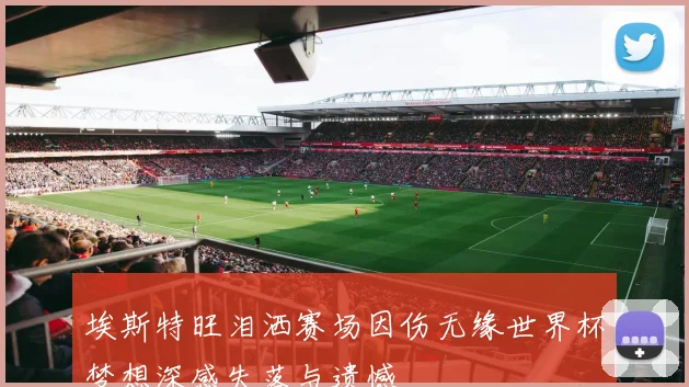 埃斯特旺泪洒赛场因伤无缘世界杯梦想深感失落与遗憾
