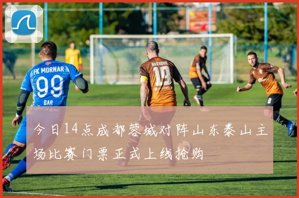 今日14点成都蓉城对阵山东泰山主场比赛门票正式上线抢购