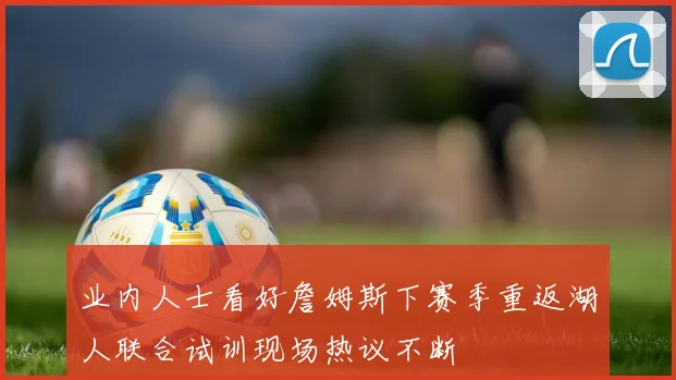 业内人士看好詹姆斯下赛季重返湖人联合试训现场热议不断